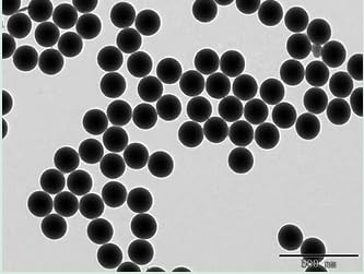 Alpha Nanotech Colloidal Silica Nanoparticles (Available from 20 nm to 1000 nm) (160 nm, 50 mg/ml)