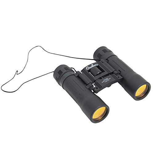 Binoculares compactos Rothco 10x25 miniatura 2