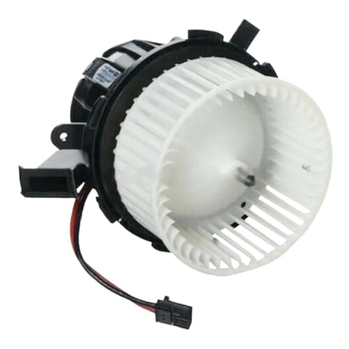 EVJOSQDI Ventiladores de Motor Motor del Ventilador del Conjunto de Ventilador de la Estufa de calefacción del Aire Acondicionado Compatible con Ford Galaxy III, Mondeo V, S-MAX 5201308, DG9H19846AB