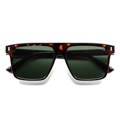 Tortoise,silver,green