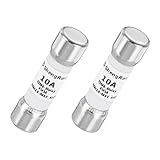 uxcell 600V 10A タイムディレイヒューズ ファストブローグラスヒューズ ジェネリック電流制限保護 タイムディレイカートリッジヒューズ DIYインバータ回路ボード用 グラスヒューズ 2パック