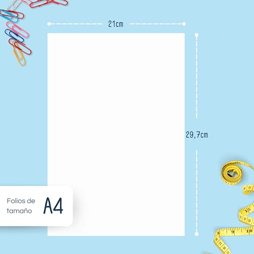 RAYLU PAPER - A4 80g 250 Blatt Premium Mehrzweckpapier für Laserdrucker, Inkjet und Kopierer, für Büro und Zuhause (250 Blatt)