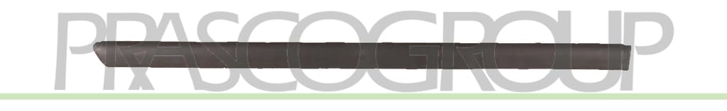 Prasco Zier-/Schutzleiste, Tür Vg0521453