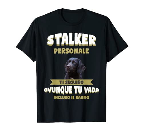 Bellissimo motivo Spaniel tedesco che si adatterebbe perfettamente a ogni mamma o papà Spaniel tedesco Motivi Spaniel tedesco per ogni proprietario Spaniel tedesco che pensa sia potersi chiamare proprietario Spaniel tedesco