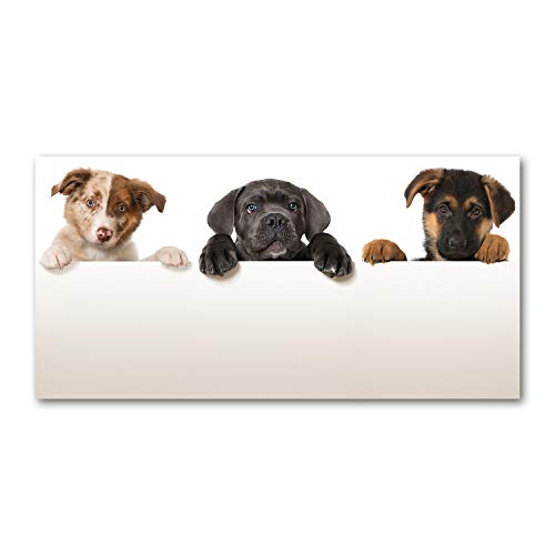 Tirages sur toile Animaux 100x50 : Tableau Noir Panoramique Trois Chiots
