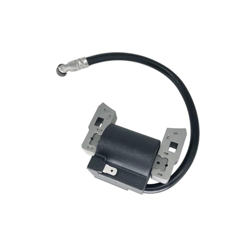 Bobina de encendido para cortacésped para un mantenimiento eficaz del motor