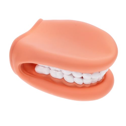 STOBAZA Tooth Teaching Model Medical Teaching Demonstration for Oral Anatomy Realistic PVC Material Portable for Lab Classroom