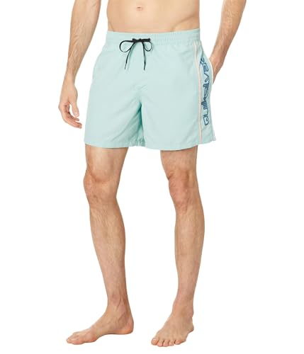 Quiksilver Everyday Vert 16