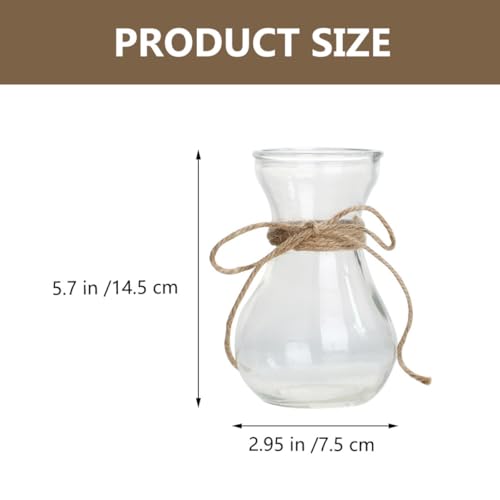 Jarrón de vidrio transparente hidropónico y contenedor de flores para interior 3
