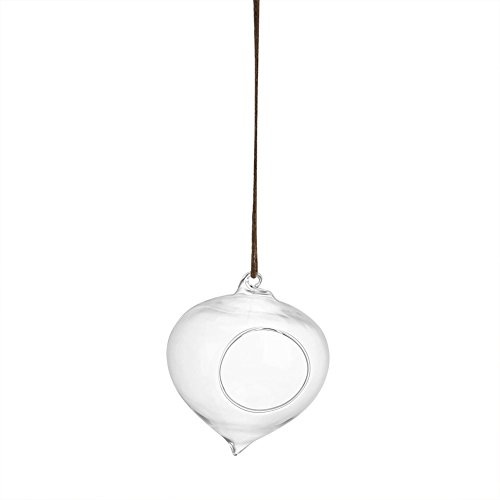 Jwthee 1 macetas de terrarios de Vidrio para Colgar en la Pared, contenedor de terrarios, macetero de Flores, Maceta de Vidrio Colgante, contenedor de Plantas suculentas, florero de