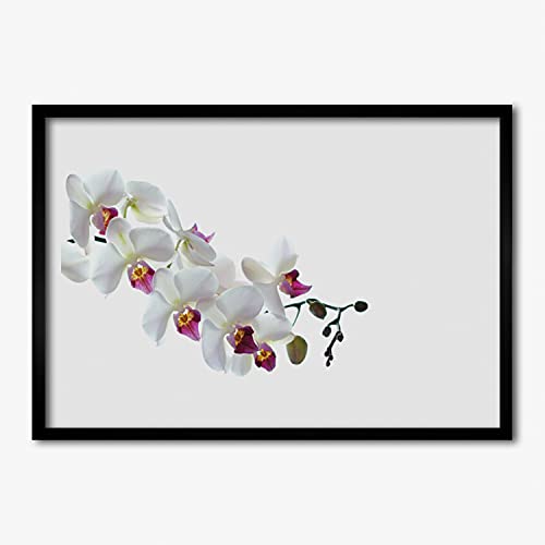Affiche encadrée 70x50 cm avec cadre MDF Tulup pour déco murale