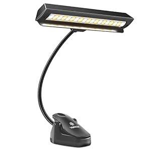 Professional 3000K-6000K Super Bright 19 LED Music Stand Light, Clip On Orchestra Piano Lights, 9 Levels Dimmable…