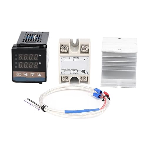 Régulateur de température PID REX-C100 AC 110V 240V thermocouple PT100 relais SSR