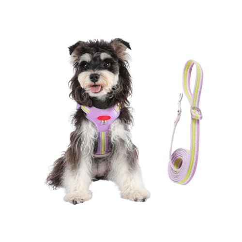 Arnés anti- Arnés para perros - Accesorio reflectante para mascotas con bolsillo con cremallera - arnés y cuerda de tracción para cachorros - para cachorros pequeños, medianos y cachorros, senderismo