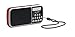 TechniSat TECHNIRADIO RDR - radio portatile DAB+/UKW (display LCD, memoria preferita, pulsanti di selezione diretta, jack per cuffie, USB, AUX-in, torcia LED, batteria intercambiabile, 1 Watt) rosso