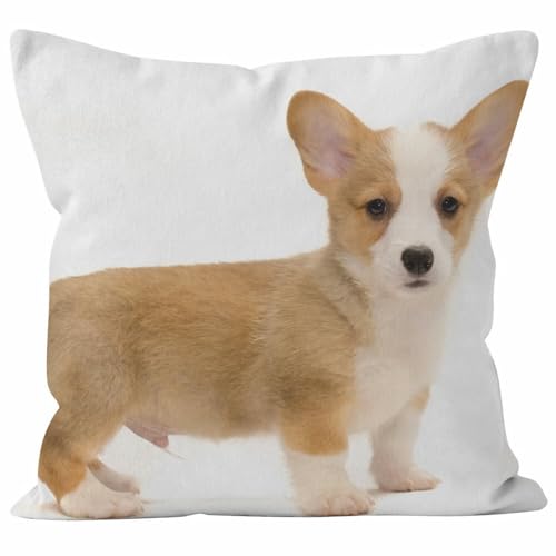 Nimvoya Linnen Bed Kussenslopen Standaard Maat Rits Kussen Voor Terrasmeubels 40 x 40 cm, Corgi Waterdichte Vervanging Loveseat