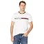 Script Tino Bright White