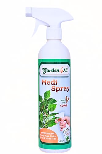 Image of MEDI SPRAY- Clove Based medicine to control and prevent garden insects like mealy bugs, thrips, mites and whilte flies. Excellent mealy bug buster (500 ml, Liquid spray)