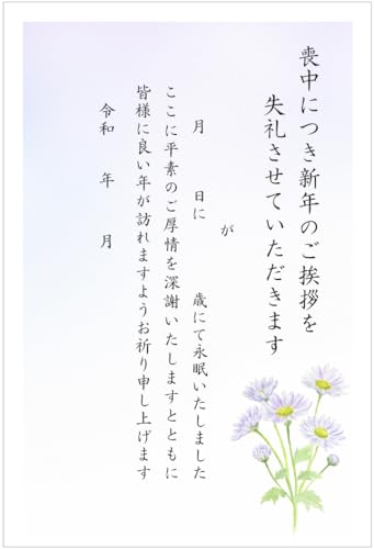喪中はがき 5枚 手書き記入タイプ(文字大きめ)切手付き官製ハガキ アルファプリントサービス〈MH110-05 紫菊〉