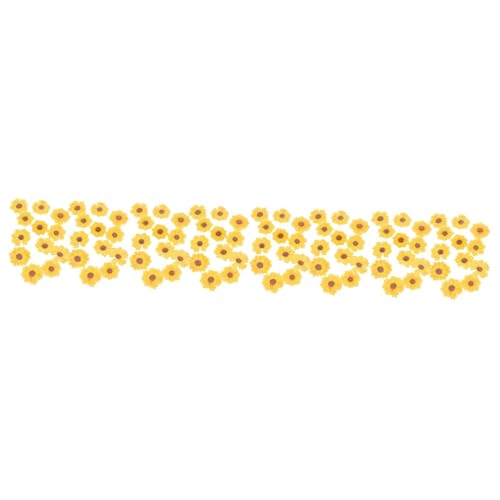 Flores Secas Margarita para Manualidades 96pcs