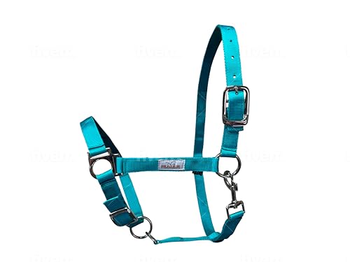 Prairie Horse Supply Cabresto de cavalo de nylon, 2,5 cm de largura, resistente, ajustável (turquesa