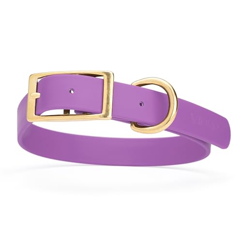 Image of Viper Biothane Heavy Duty Waterproof Dog Collar Strong Coated Nylon Webbing w /Solid Brass Hardware Odor-Proof for Easy Care to Clean High Performance Fits Small Medium or Large Dogs, Amethyst Purple