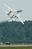  F-14 Tomcat Notebook: A Notebook for airplane enthusiasts that love F-14 Tomcats