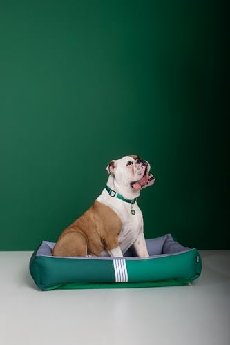 Freefaro - Coleira Palmeiras - Tam.G