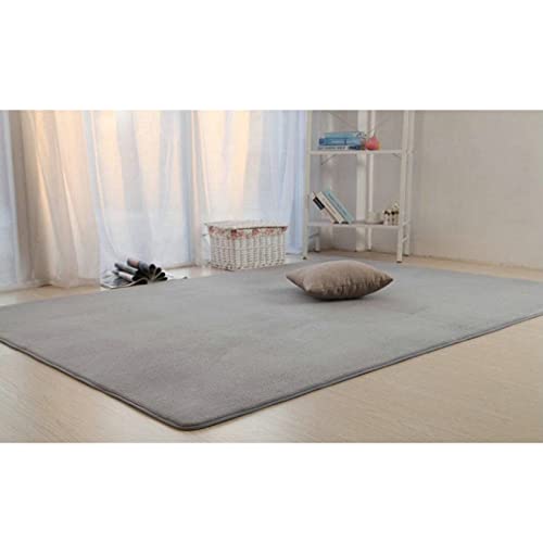 ���O�}�b�g �J�[�y�b�g �O���[ �h�_�j ���O �܂��� 80*160cm �N�b�V�������O �]�ˊ� �t�����l�� �|���Ղ� �z�b�g�J�[�y�b�g�Ή� �����` �h�� �ᔽ���}�b�g ���� �u���[ �Ռ��z�� 80*160cm �y�ʐ݌v �I�[���V�[�Y�����K�Ɏg�p �����ȃJ