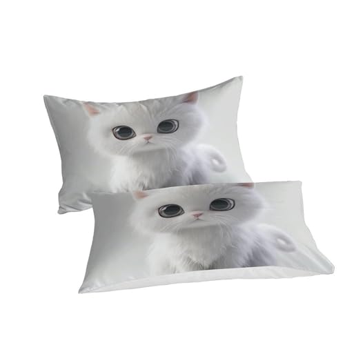 Parure de lit British Shorthair 3D microfibre de qualité supérieure lit simple