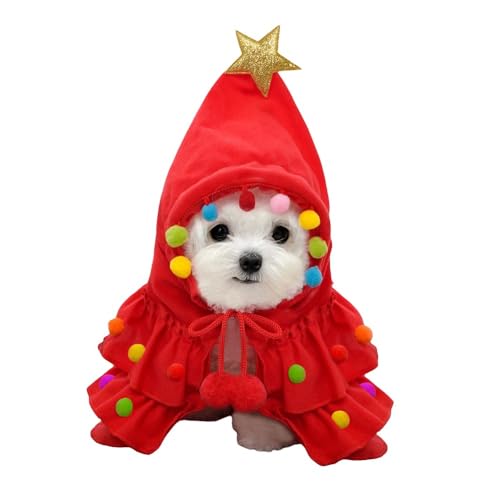 NX}X ybg RX`[ ybgpi  L }g RXv  JWA ӂӂ _炩 ϐg  ^ O[/bh (bh, M)