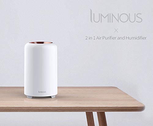 Luminous 2 in 1 Air Purifier and Humidifier, air purifiers for allergies
