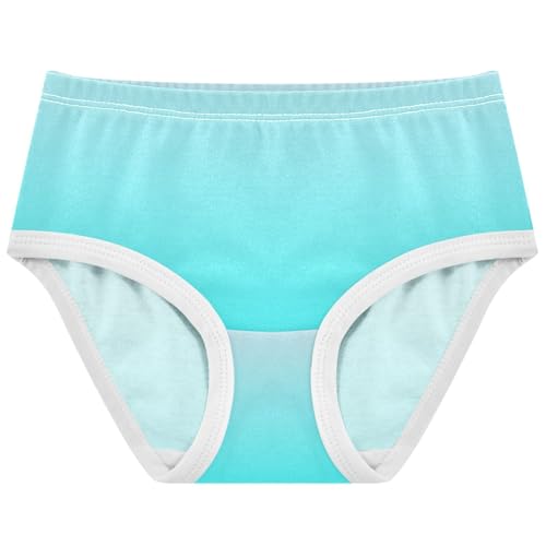 Joisal Magnolia Cyan Gradient Ombre Toddlers Underwear Floral 2t Cotton Panties Little Girl Durable Kids Undies Briefs