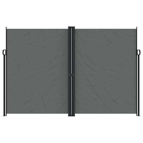 Store latéral extensible anthracite 220x1000 cm en polyester