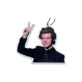 Harry Styles Air Freshener Pendant Fans Gift Car RearviewMirror Pendant for Supplie Interior Accessories Air Freshener (A#)