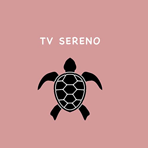  SEDIA BARBIERE