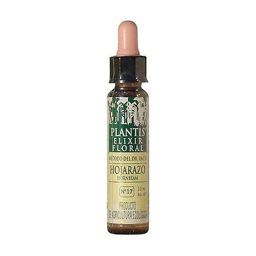 Artesania Agricola Complemento - 100 Gr