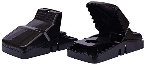 Eco Pro Pest Control 1015 Rat Snap Traps By Eco Pro Pest Control thumb #5