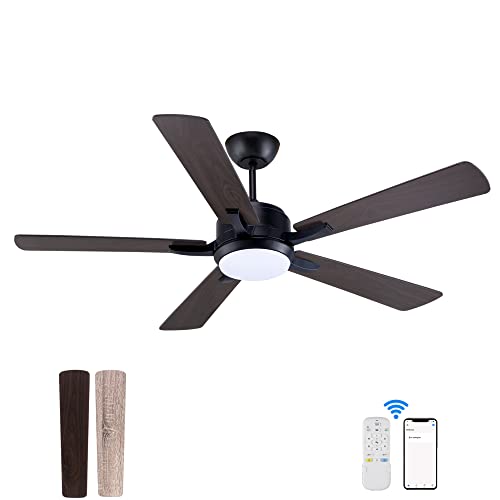 Best Outdoor Fan With Light Expert Review The Modern Record