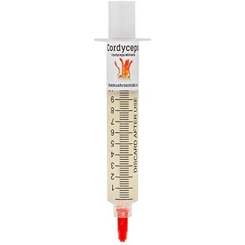 Mushroom Liquid Culture - Cordyceps (Cordyceps militaris) Cover