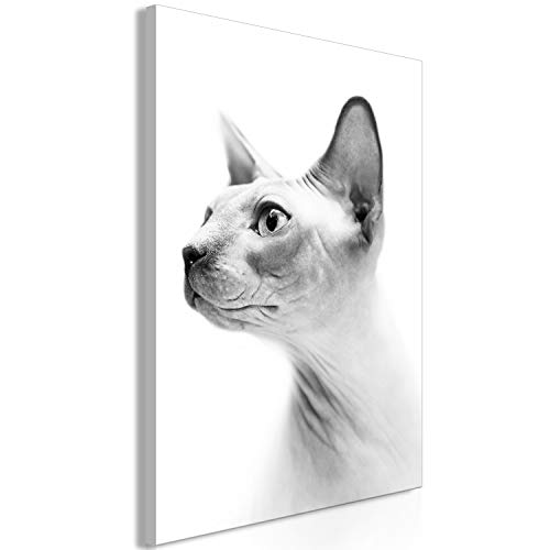 artgeist Acoustic Canvas Wall Art Print Sphynx Cat 24x35 in - 1pcs Picture with Acoustic Foam Sound Print Artwork Room Acoustics Soundproofing Animals Grey Black White g-B-0111-b-a
