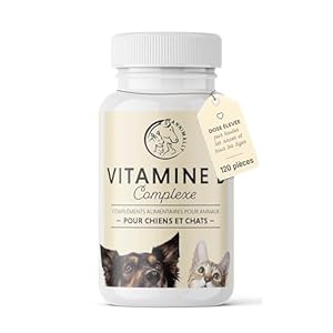 Vitamine B Complex 120 comprimés pour Chien et Chat : Vitamine B1, B2, B3, B5, B6, B9, B12 – Vitamines et compléments pour Chiens et Chats – Vitamine pour Chien – Vitamine Chat
