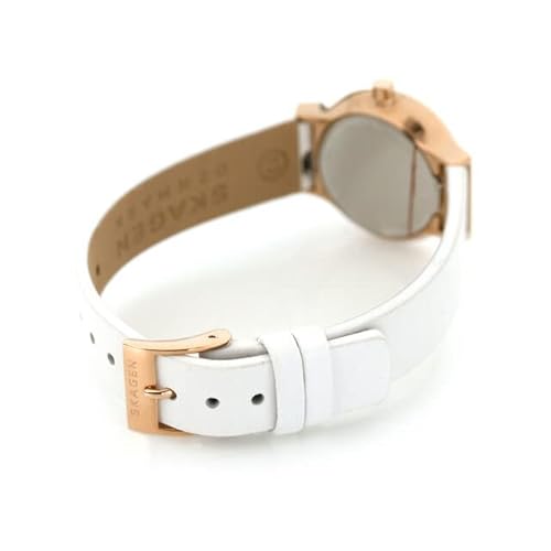 SKAGEN SKW3029 商品画像4