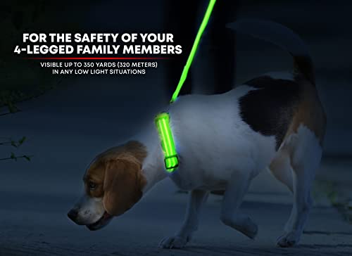 Illumiseen Led Light Up Dog Collar - Bright & High Visibility Lighted Glow Collar For Pet Night Walking – Usb Rechargeable – Weatherproof, In 6 Colors #TOP1