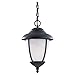 Sea Gull Lighting 60048-185 Outdoor Pendant with Swirled Marbleize?Glass Shades, Forged Iron Finish