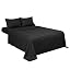 Black Stripe
