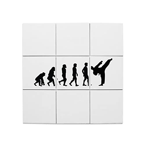 Carreaux céramique évolution karaté 60x60 cm art martiaux sport