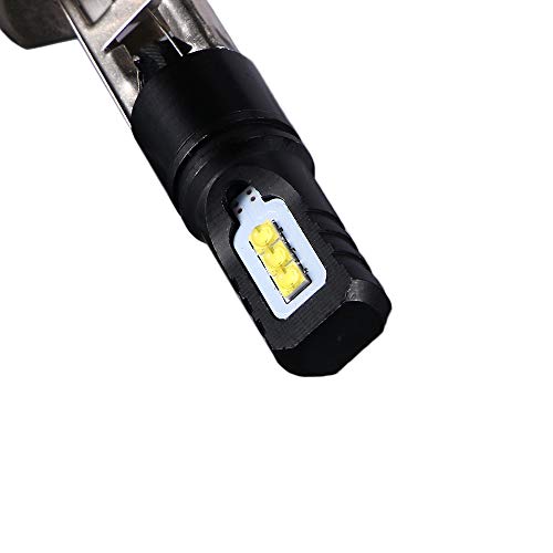 PaddSun H1 LED Fog Light Bulbs 80W 6000K White Lamp 6CSP SMD Halogen DRL Bulb Standard Replacement For High Beam Low Beam Fog Light Auto Car Vehicle (Pack of 2)