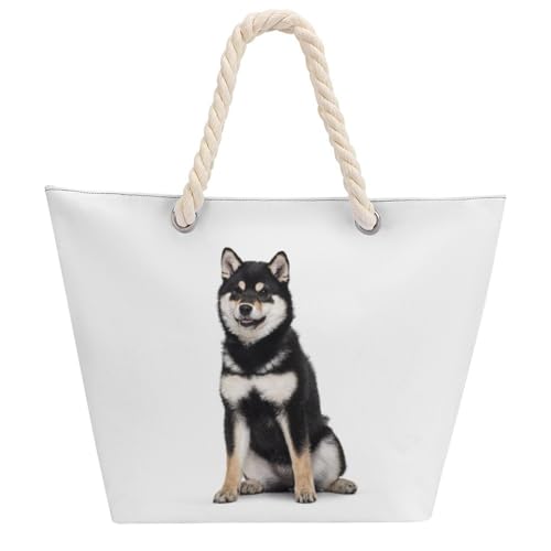 [ESISAMT] Č   ʔ  fB[X e  |  2way t@Xi[t  JWA A ʋ ʊw o s 蕨