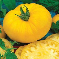 Sunny Boy pomodoro bassa acidità 10 Semi Oltre 200 Heirloom Tomatoes nel nuestro deposito!